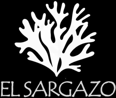 sargazo
